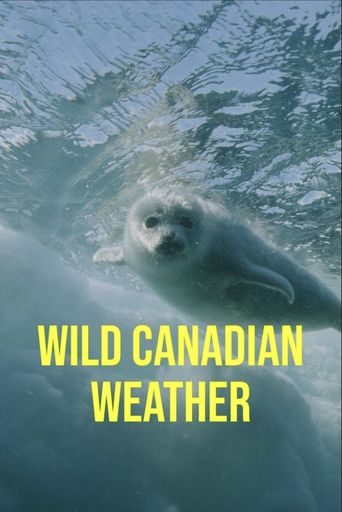 Wild Canadian Weather — Cold