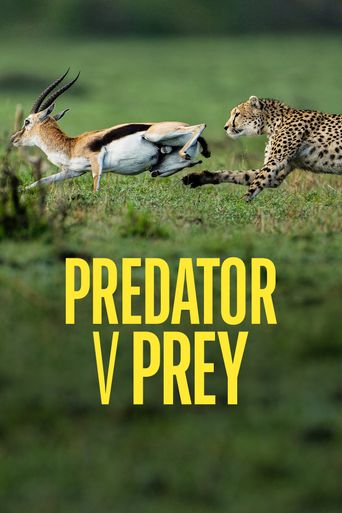 PREDATOR PREY STREAMING SERVICE visual data 5
