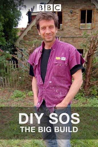  DIY SOS Poster