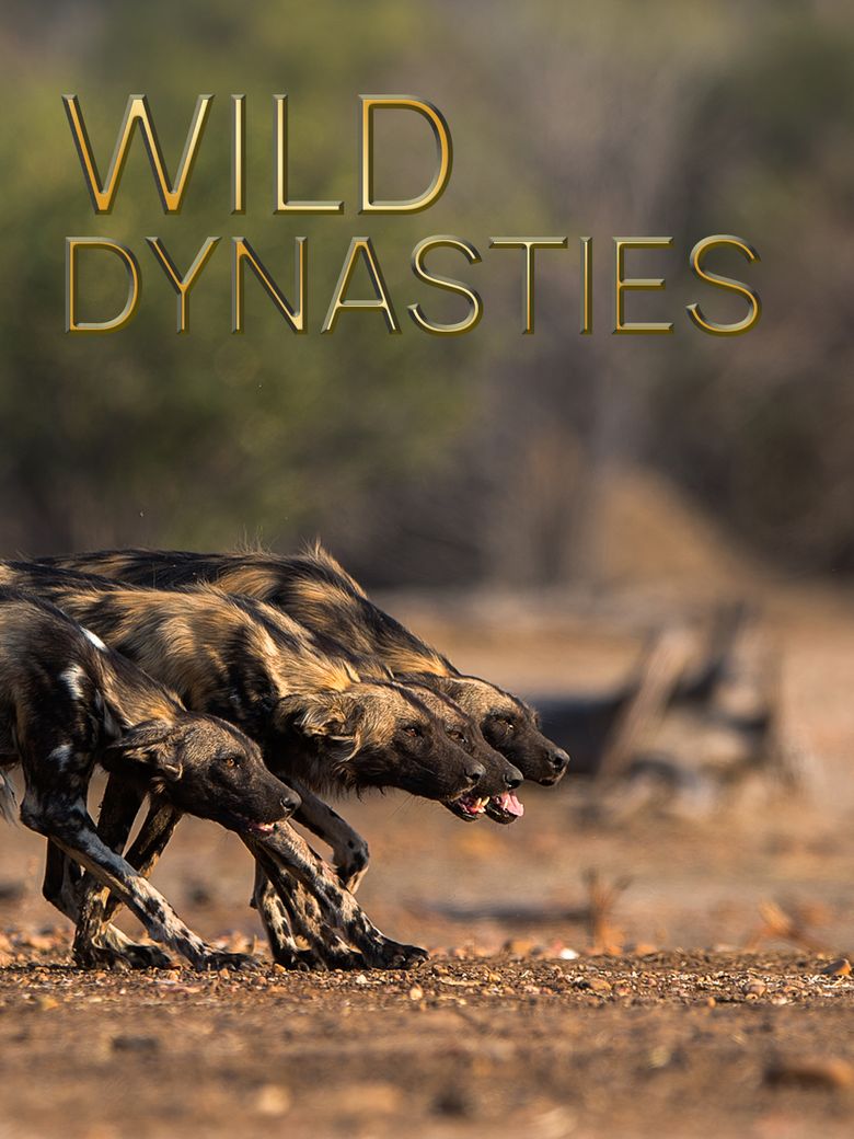 Wild Dynasties