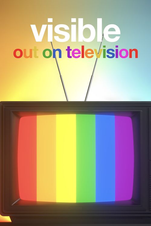 Visible: Out on Television Poster