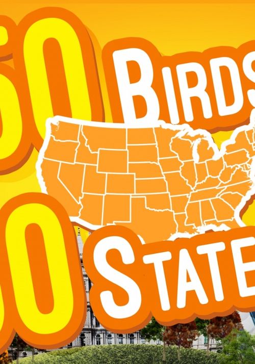 50 Birds 50 States Poster
