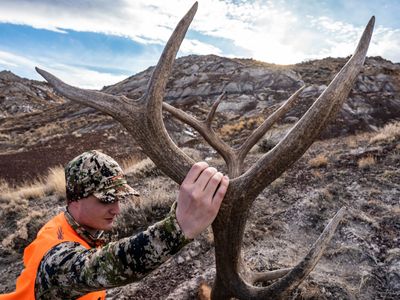 Season 07, Episode 12 Wyoming Rifle Elk With Matthew