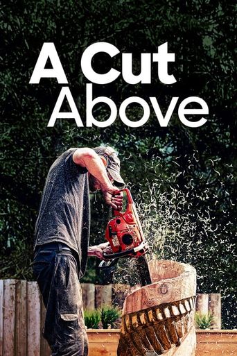  A Cut Above Poster