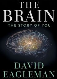 The Brain with Dr. David Eagleman Poster