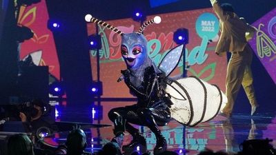 The Masked Singer: Where to Watch and Stream Online | Reelgood