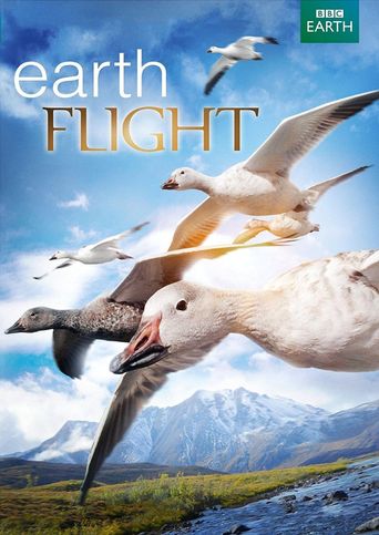  Earthflight Poster