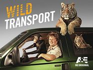  Wild Transport Poster