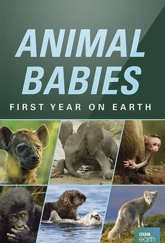  Animal Babies: First Year on Earth Poster