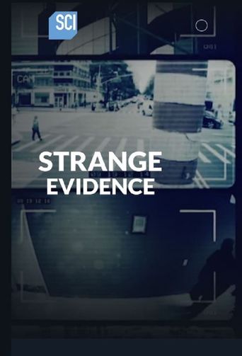  Strange Evidence Poster