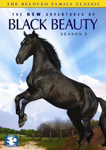  The New Adventures of Black Beauty Poster