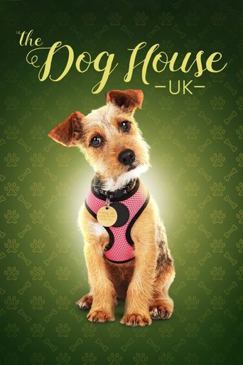  The Dog House Poster