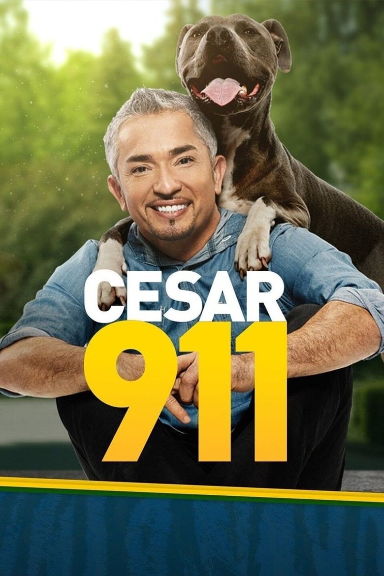 Cesar 911 Poster