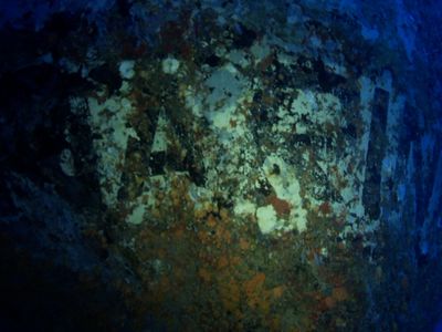 Dive Detectives Season 1: Where To Watch Every Episode | Reelgood