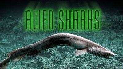 Season 26, Episode 10 Alien Sharks