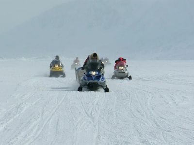 Season 2008, Episode 04 Dirty Jobs: Greenland Shark Quest