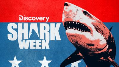 Season 34, Episode 25 Wicked Sharks