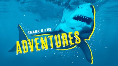Season 23, Episode 06 Shark Bites: Adventures in Shark Week