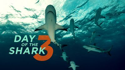 Season 23, Episode 04 Day of the Shark 3