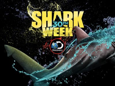 Season 2018, Episode 104 Shark After Dark: Sharks Out of Water