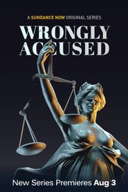  Wrongly Accused Poster