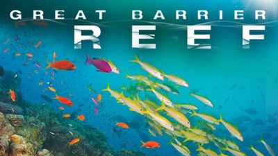 Season 01, Episode 02 Reef to Rainforest