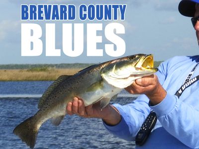 Season 13, Episode 08 Brevard County Blues