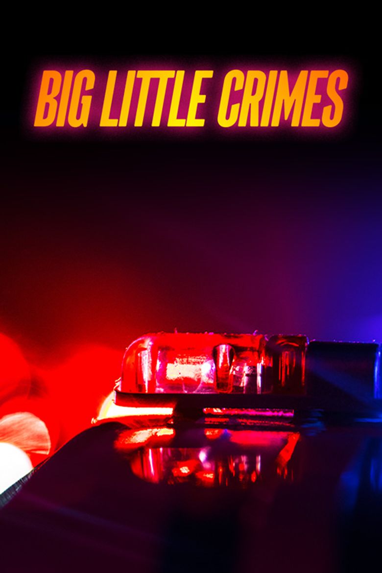 Big Little Crimes