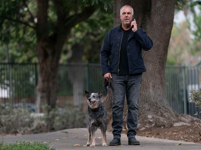 Bosch Legacy Season 1 Where To Watch Every Episode Reelgood