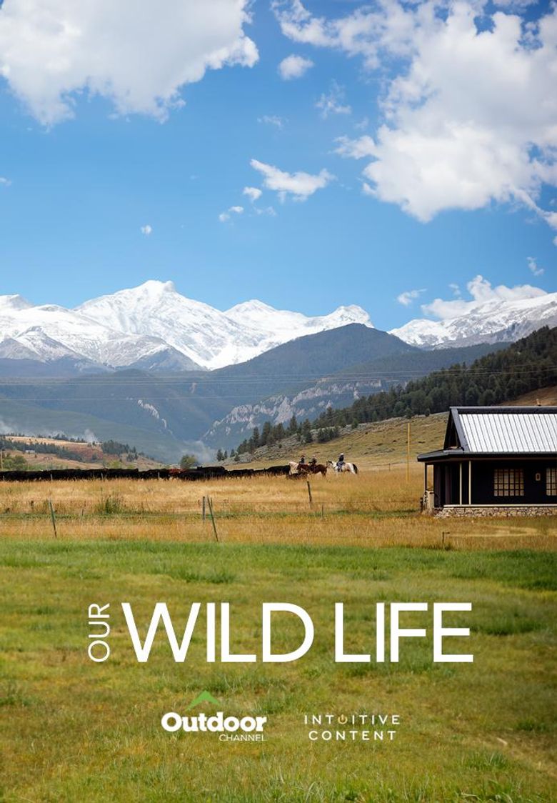 Our Wild Life