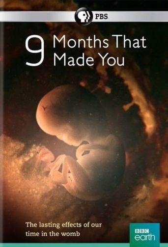  9 Months That Made You Poster