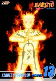 Naruto: Shippuden Season 13 Poster