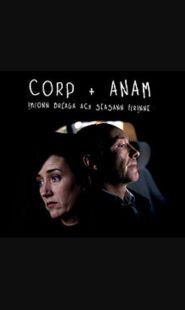  Corp Anam Poster