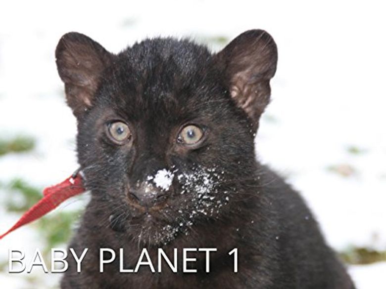 Baby Planet