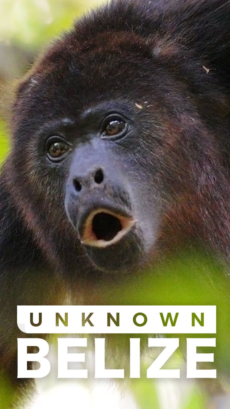 Unknown Belize