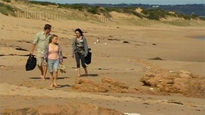 Season 27, Episode 238 Episode 6308