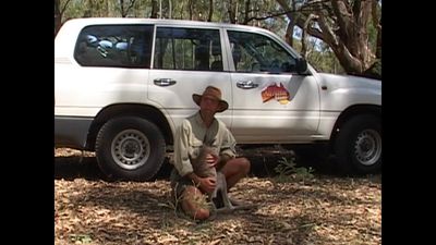 Season 02, Episode 06 Rare Roo