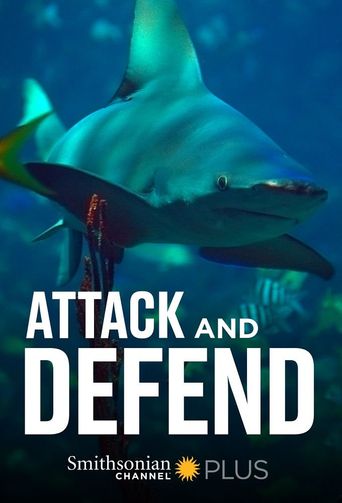  Attack and Defend Poster